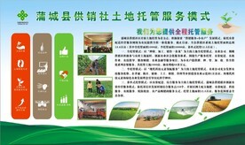 農(nóng)業(yè)托管服務(wù) 從概念到實(shí)踐的全方位視覺指南與資源寶庫(kù)